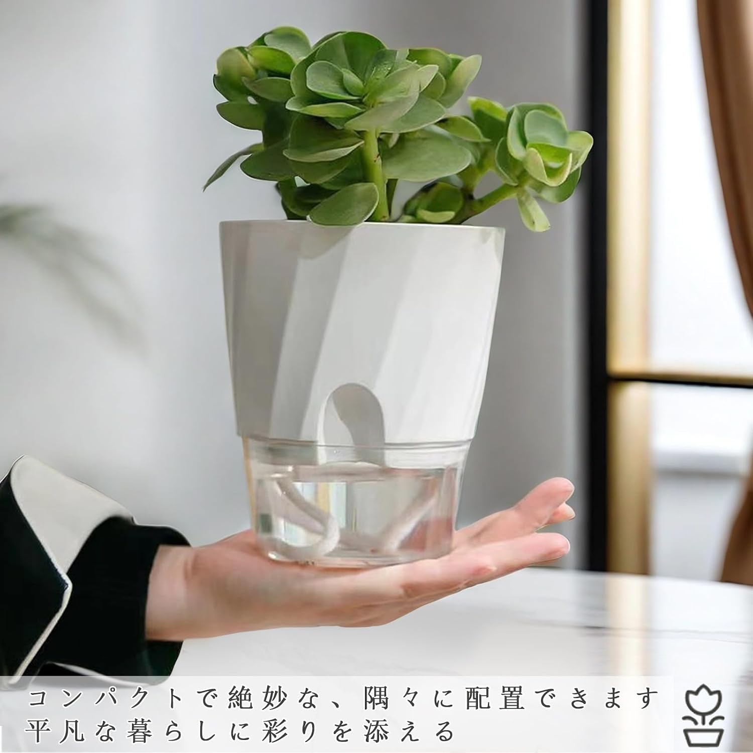 ハイドロカルチャー自動給水鉢の使用イメージ